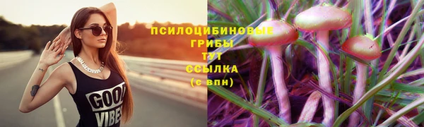 гашишное масло Богданович