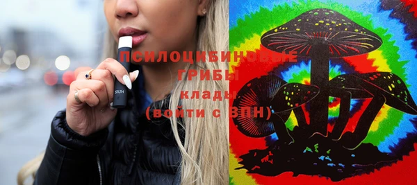 бошки Богородицк