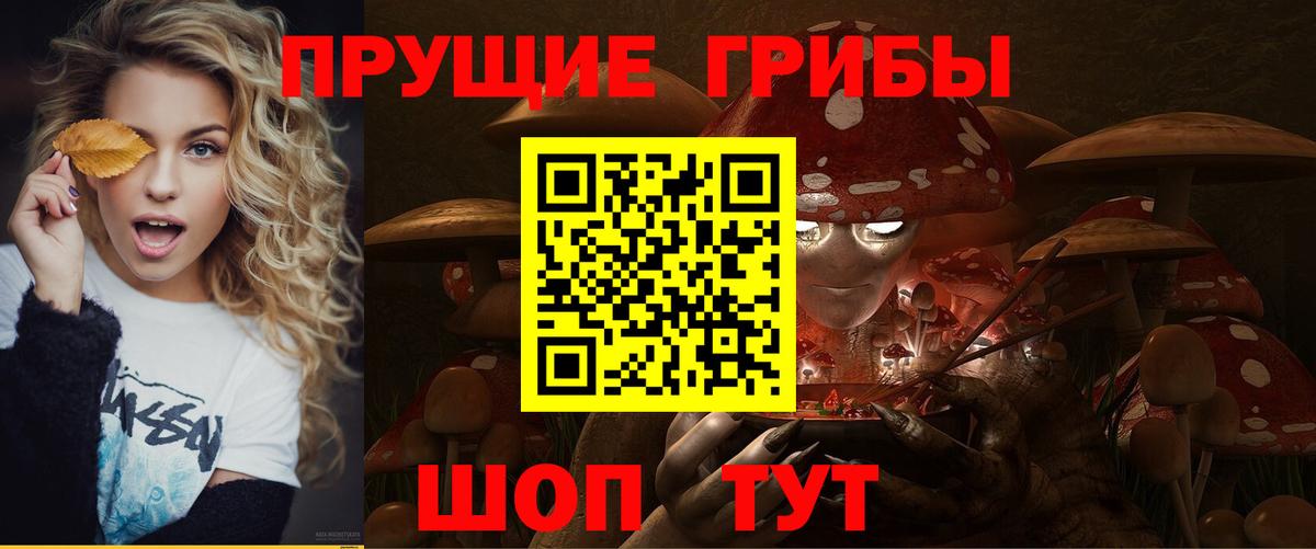 Галлюциногенные грибы Psilocybine cubensis  даркнет сайт  Гулькевичи  Вход с VPN 